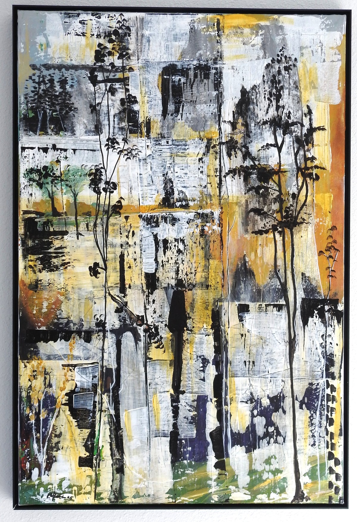 1663 - Trees at Sunset